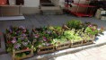 /album/resim-galerisi/a10277544-312590765557951-4899645308487504699-n-jpg/